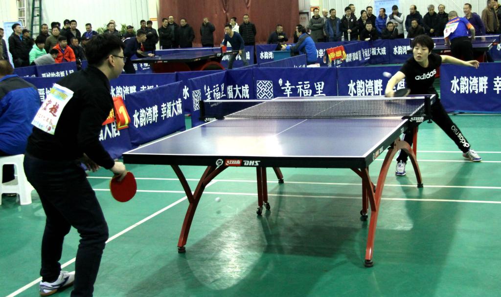 了马术运动 了马术运动