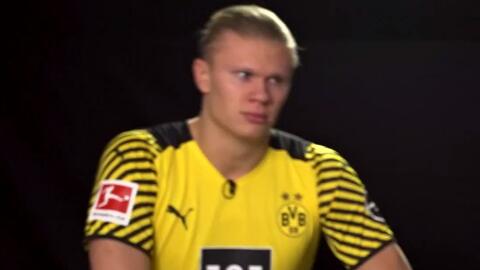 系统解析 系统解析